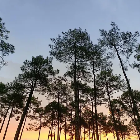 Mh 467 Isalisa 3chambres Et 1 Salle De Bain Dans 4 Etoiles Avec Parc Aquatique مكان تخييم